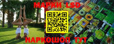 ешки Канаш