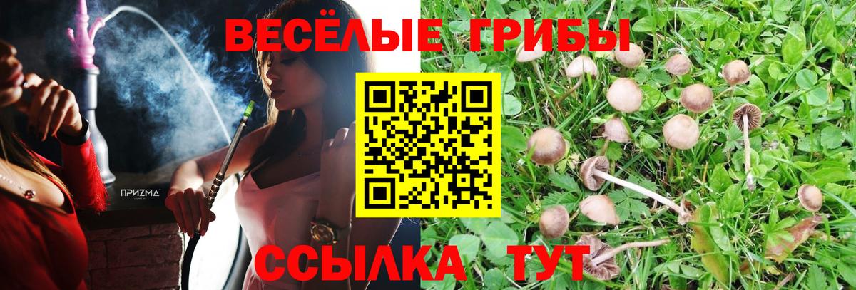 Псилоцибиновые грибы Magic Shrooms Можга